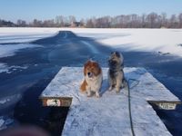 Alando und Kalle vor dem gefrorenen See